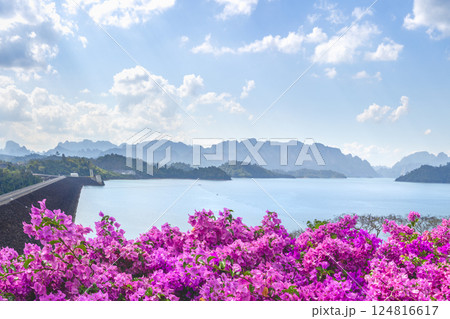 Cheo Lan Lake and Rachaphrapha Dam during the day, panoramic view from the observation point. Tourist spots and photos of Southern Thailand, Phang Nga province. Bougainvillea flowers in the foreground 124816617