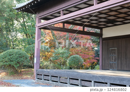 亀井公園の紅葉 124816802