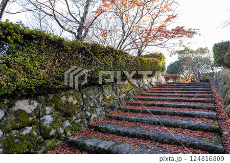 亀井公園の紅葉 124816809