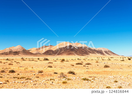 Typical lifeless landscape of Namibia Typical lifeless landscape of Namibia 124816844