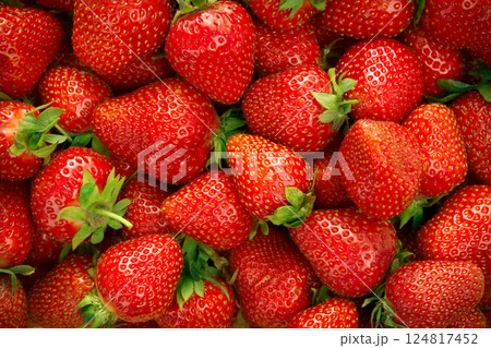 Background from freshly harvested strawberrie 124817452