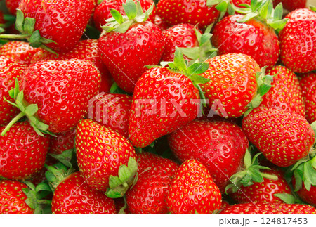 Background from freshly harvested strawberrie 124817453