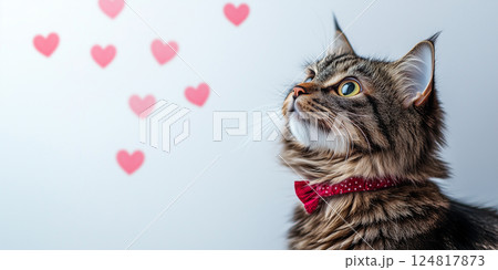 A cute cat in a red bow tie looks up at heart decorations on a white wall for Valentine's Day. A cute cat in a red bow tie looks up at heart decorations on a white wall for Valentine's Day. 124817873