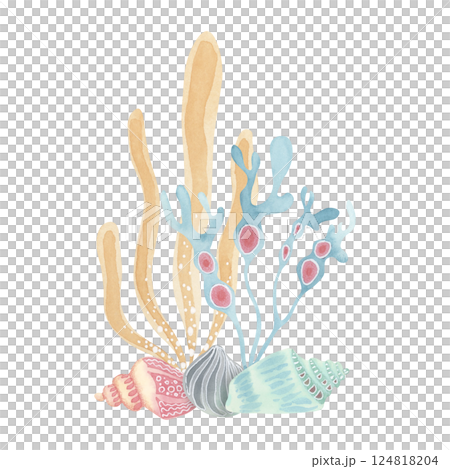 Sea life clipart - seaweed and shells in pastel colors. Hand-painted watercolor illustration with pencil texture. Perfect for stationery, kids books, scrapbooking, and ocean-themed decorations 124818204
