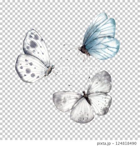 Butterflies of delicate shades, white-gray, blue and gray. Watercolor set illustration hand drawn on isolated background for greeting cards, invitations, happy holidays, posters, packaging. Butterflies of delicate shades, white-gray, blue and gray. Watercolor set illustration hand drawn on isolated background for greeting cards, invitations, happy holidays, posters, packaging. 124818490