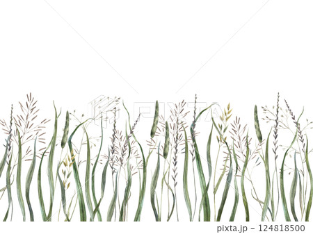 Realistic green grass blades of different sizes and wild plants. Botanical watercolor composition for the industry of holidays and weddings, various packaging and postcards, eco-products and textiles. Realistic green grass blades of different sizes and wild plants. Botanical watercolor composition for the industry of holidays and weddings, various packaging and postcards, eco-products and textiles. 124818500