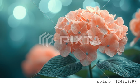 Soft Pastel Floral Design Featuring Hydrangeas in Peaceful Background Light 124818597