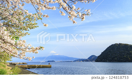 駿河湾経由の富士山と桜 124818753