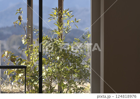 開放的なエントランス 開放的なエントランス 124818976