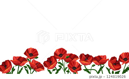 Vector poppy arrangement or poppies field border. Background with red flower. Papaver backdrop or blossom horizontal frame element. Organic and natural banner. Greenery nature decoration. Plant Vector poppy arrangement or poppies field border. Background with red flower. Papaver backdrop or blossom horizontal frame element. Organic and natural banner. Greenery nature decoration. Plant 124819026