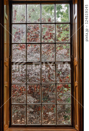 Old sections window overlooking garden in backyard 124819145