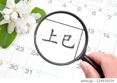 上巳（じょうし）の節句／桃の節句 124819154