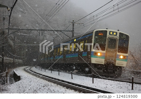 雪舞う笹子峠を行く211系 124819300