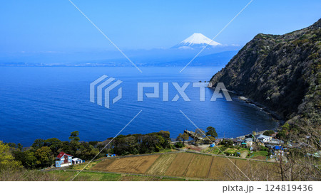 井田から望む駿河湾と富士山 124819436