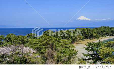 桜咲く戸田から見た富士山 桜咲く戸田から見た富士山 124819607