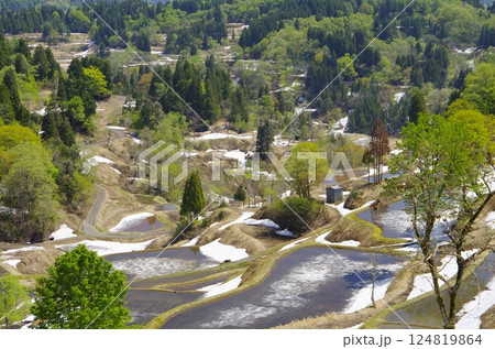 春の十日町市・蒲生の棚田 124819864