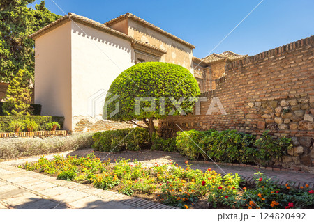 Alcazaba, palace and fortification in Malaga city at Andalusia, Spain, Europe. Sun-drenched courtyard garden with flowering plants, topiary, and ancient brick walls. 124820492