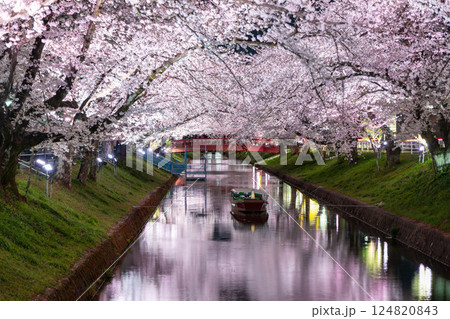 ライトアップされた夜桜と川に浮かぶ舟（愛知県大口町・五条川の桜並木） 124820843