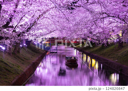ライトアップされた夜桜と川に浮かぶ舟（愛知県大口町・五条川の桜並木） 124820847