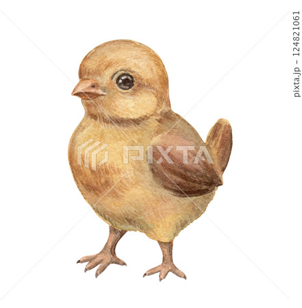 Vintage Easter baby chick in a nostalgic watercolor style. Realistic hand drawn artwork with fine texture and soft yellow tone. Perfect for card design. Ideal for print and festive holiday decoration. Vintage Easter baby chick in a nostalgic watercolor style. Realistic hand drawn artwork with fine texture and soft yellow tone. Perfect for card design. Ideal for print and festive holiday decoration. 124821061