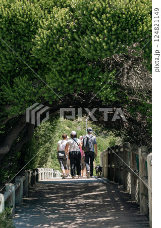 Tree canopy pathway Tree canopy pathway 124821149