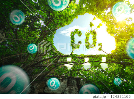 Concept depicting the issue of carbon dioxide emissions and its impact on nature in the form shape of a co2 symbol located in a lush forest. Reduce CO2 emission concept. oxygen O2  molecules. 124821166