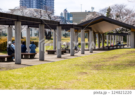 所沢市　航空公園少年スポーツ広場の桜 124821220