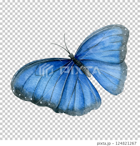 Watercolor of blue butterfly isolated on a white background. Good for postcards, invitations, greeting cards, wallpaper, textiles 124821267