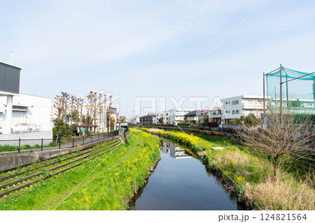 甲州街道から野川を眺める　春の青空　東京都調布市柴崎 124821564