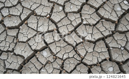 Parched ground texture with intricate web of fissures. 124821645