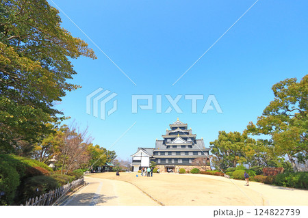 岡山県岡山市、岡山城の風景 124822739