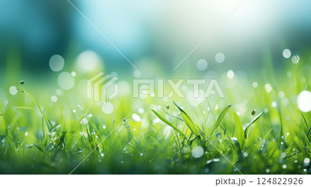 A fresh spring sunny garden background of green grass and blurred foliage bokeh. 124822926
