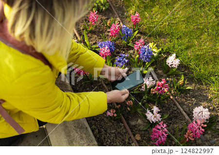 Woman Taking Picture of Colorful Flowers in Spring Garden with Smartphone Woman Taking Picture of Colorful Flowers in Spring Garden with Smartphone 124822997