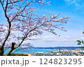 桜と館山市の街並み（千葉県） 124823295