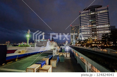 明日に出向を控えた大型貨客船　東京竹芝桟橋 124824041