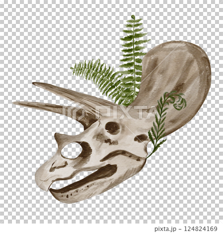 Traceratops dinosaur skull. Fern growing in skeleton. Ancient fossil. Bones and plants. Watercolor illustration without background. Hand drawing. High quality illustration Traceratops dinosaur skull. Fern growing in skeleton. Ancient fossil. Bones and plants. Watercolor illustration without background. Hand drawing. High quality illustration 124824169