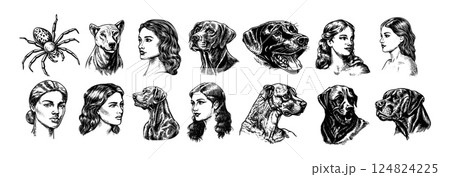 Old school tattoo flashes engraving vector set. beautiful woman head classic portraits, dogs pet avatars spiders insects designs drawings, isolated on white background 124824225
