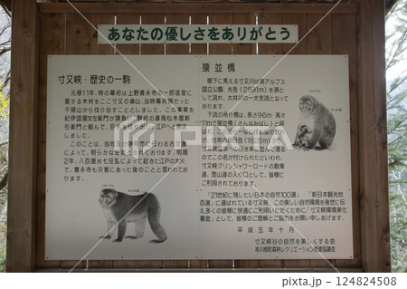 寸又峡　静岡県 124824508