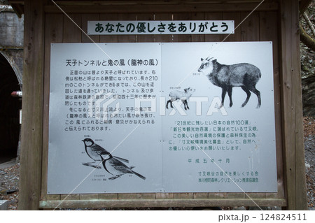 寸又峡　静岡県 124824511