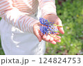 ムスカリと子供の手 124824753