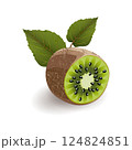 Sliced kiwi with kiwi leaves isolated on white background, realistic vector illustration. 124824851