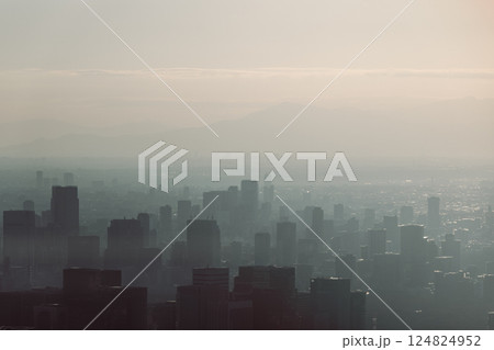 Tokyo sunset forming high contrast black and white cityscape where skyscrapers blend into the mist 124824952