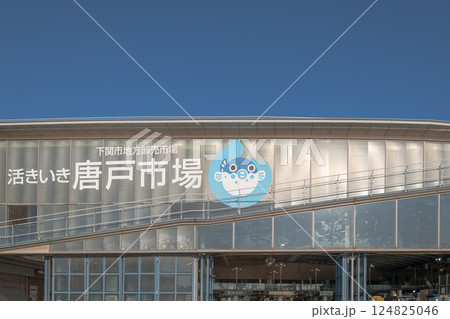 【下関市唐戸市場】 124825046