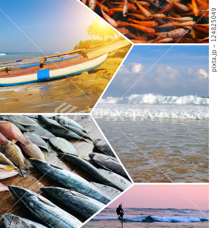 Fishing in the Indian Ocean. Fishermen with a rod, net and on fishing boats. Collage. Sri Lanka. Fishing in the Indian Ocean. Fishermen with a rod, net and on fishing boats. Collage. Sri Lanka. 124825049