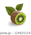 Sliced kiwi with kiwi leaves isolated on white background, realistic vector illustration. 124825119