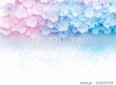 パステルカラーの瑞々しいアジサイの花とコピースペース パステルカラーの瑞々しいアジサイの花とコピースペース 124825189