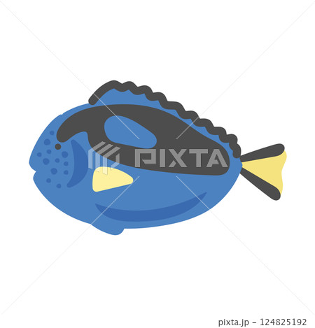 ナンヨウハギ  イラスト 124825192