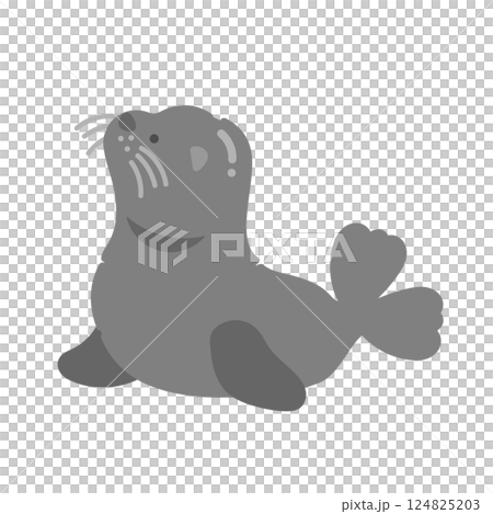 アシカ  イラスト 124825203