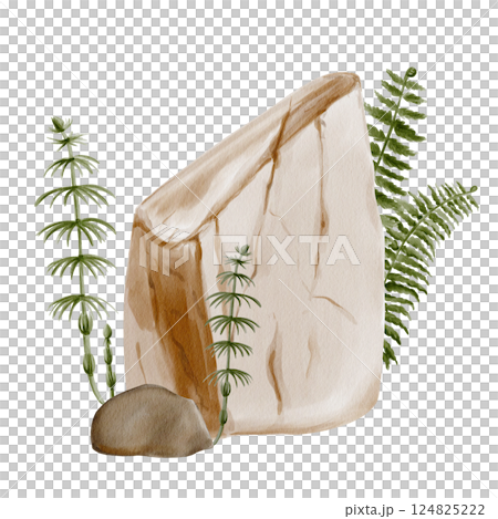 Stones and plants. Horsetail and fern grow near stones. Decorative landscape composition. Forest or park. Garden decoration. Watercolor illustration. Hand drawing. High quality illustration 124825222