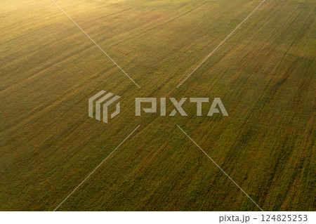 Drone aerial view at golden hour with agricultural fields Drone aerial view at golden hour with agricultural fields 124825253